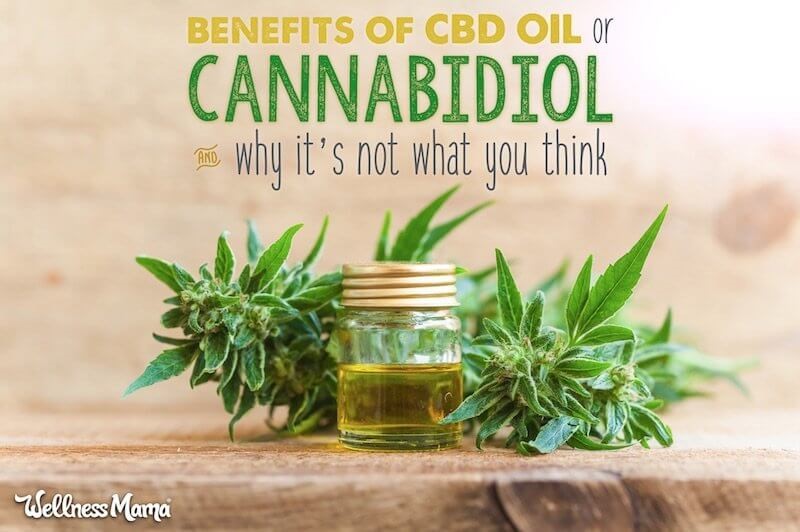 CBD Oil Pills Or Capsules County Court Fayetteville 
      AR